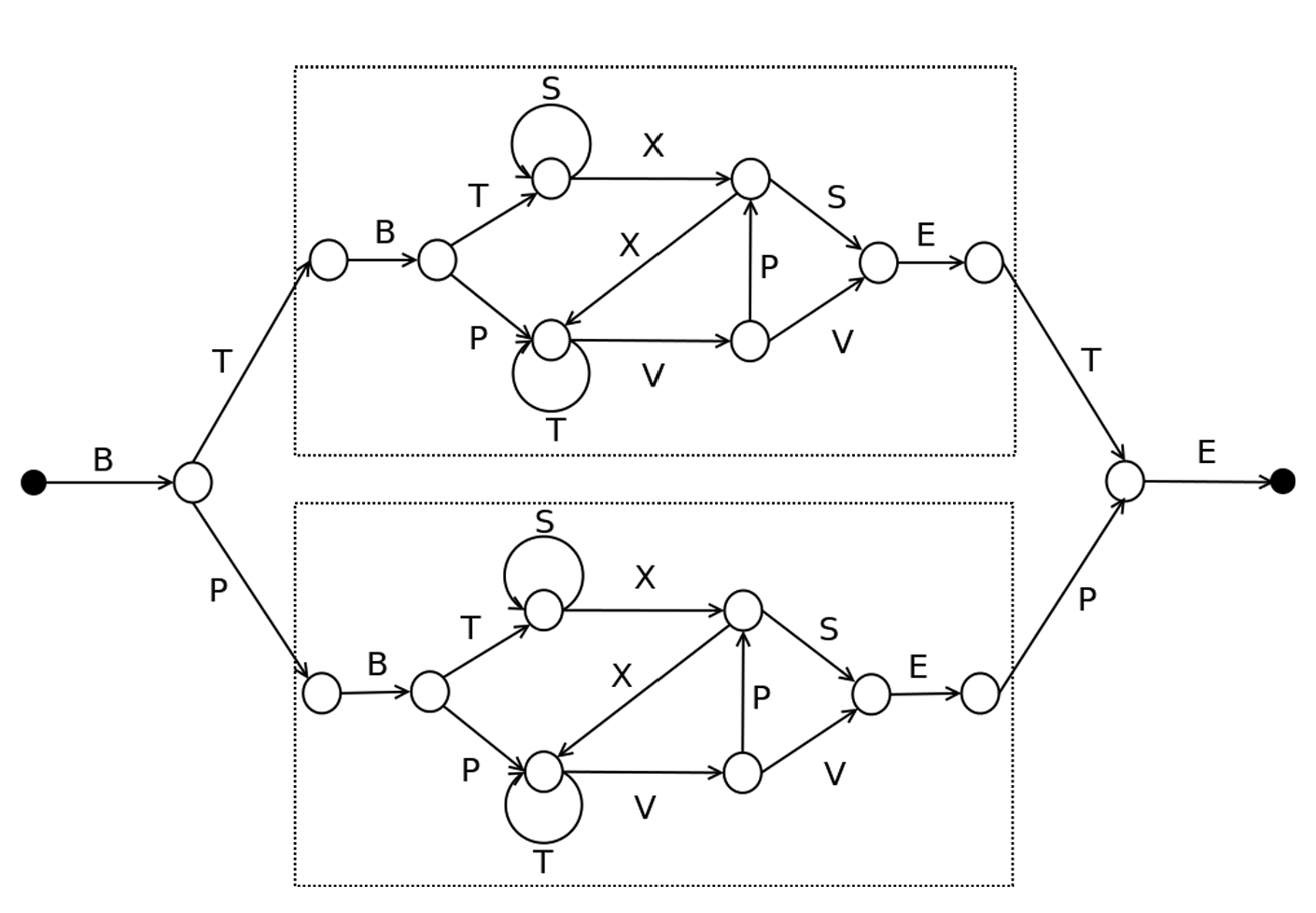 Embedded Reber grammar with matching outer T and P branches